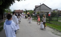 SAM_3446