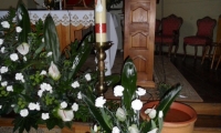 SAM_3154