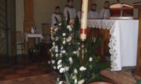 SAM_3180