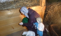 SAM_4594