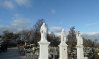 SAM_4383
