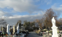 SAM_4388