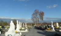 SAM_4389
