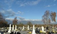 SAM_4390