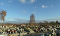SAM_4391