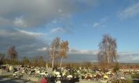 SAM_4394