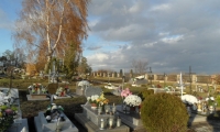 SAM_4408
