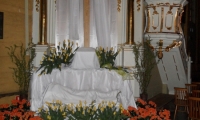SAM_0049