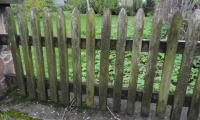 SAM_4938