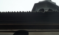 SAM_5358