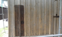 SAM_5389
