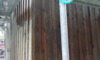 SAM_5395