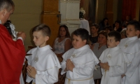 SAM_5070