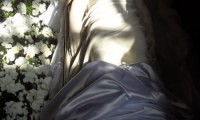 SAM_6493