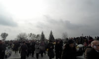 SAM_4341