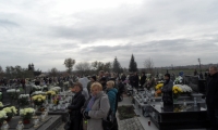 SAM_4361