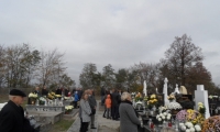 SAM_4362