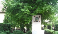 SAM_5283